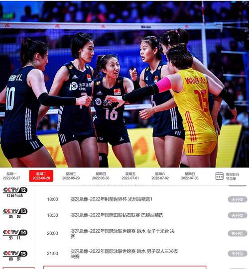 中国体育网女排视频直播