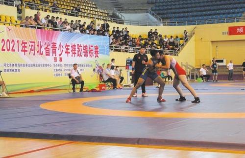 邯郸体育摔跤比赛视频直播